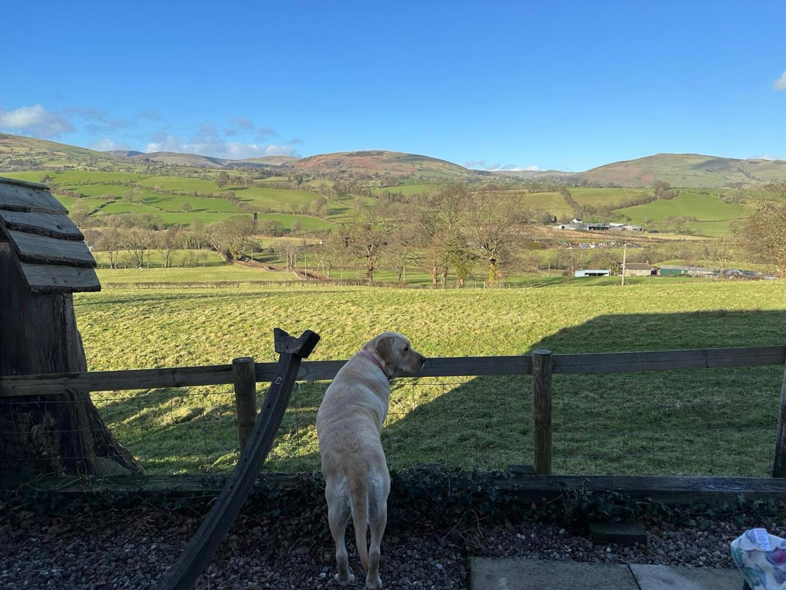 The Retreat Villa Llanrhaeadr-ym-Mochnant Luaran gambar